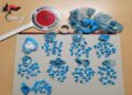 Arresto Cc Molfetta Droga Zona Pulo 1