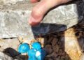 Arresto Cc Molfetta Droga Zona Pulo 3