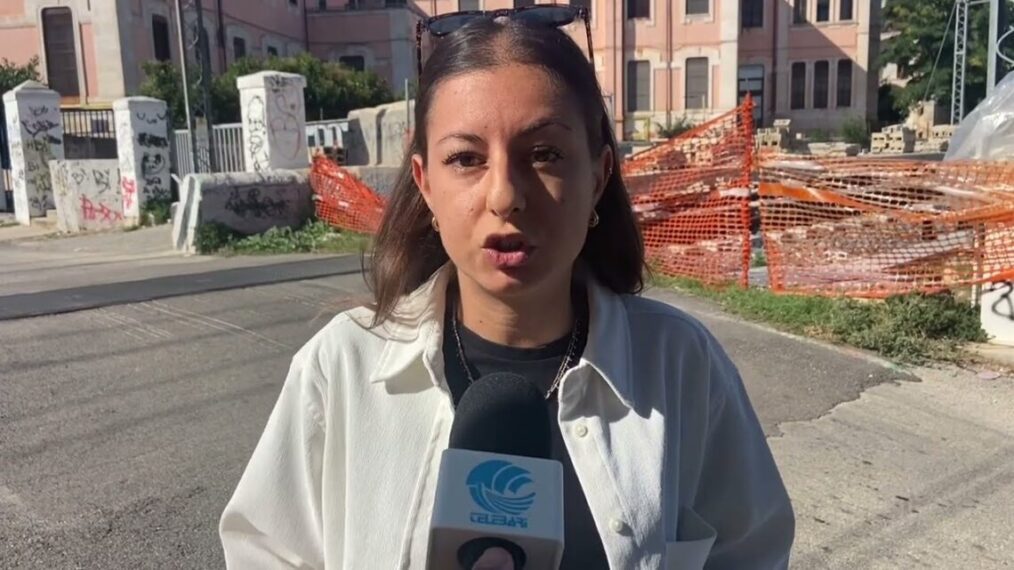 “mamma Ho Perso Il Treno… Da 4 Anni”, Oltre 15mila Firme Per La Petizione Dei Pendolari Sud Est – Video