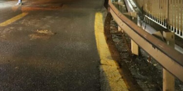 Curvoni Japigia Via Caldarola