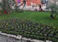 Fiori Corso Cavour