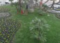 Fiori Corso Cavour1