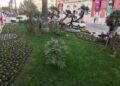 Fiori Corso Cavour2