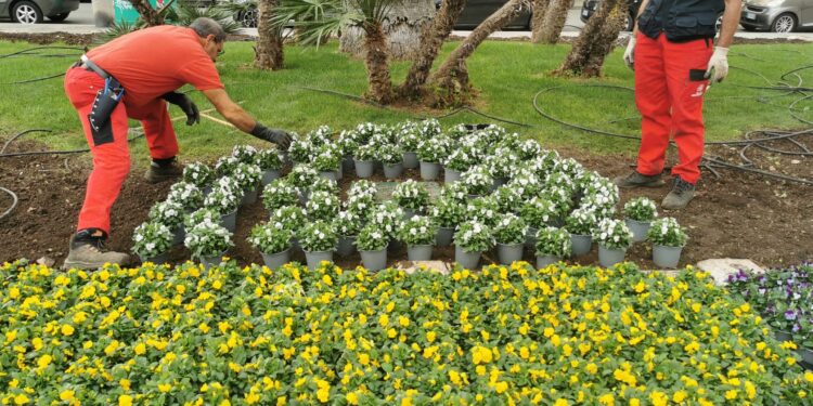 Fiori Corso Cavour4