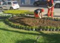 Fiori Corso Cavour5