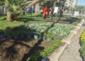 Fiori Corso Cavour8