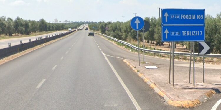 Provinciale 231