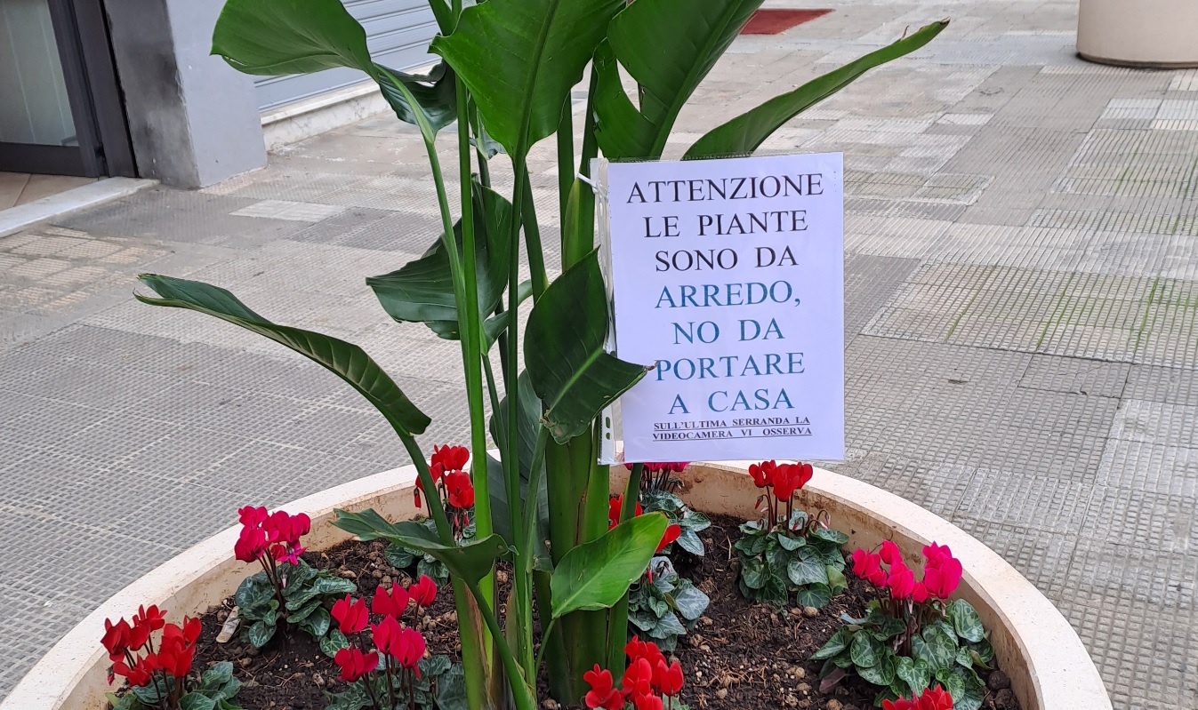 Cartello Piante