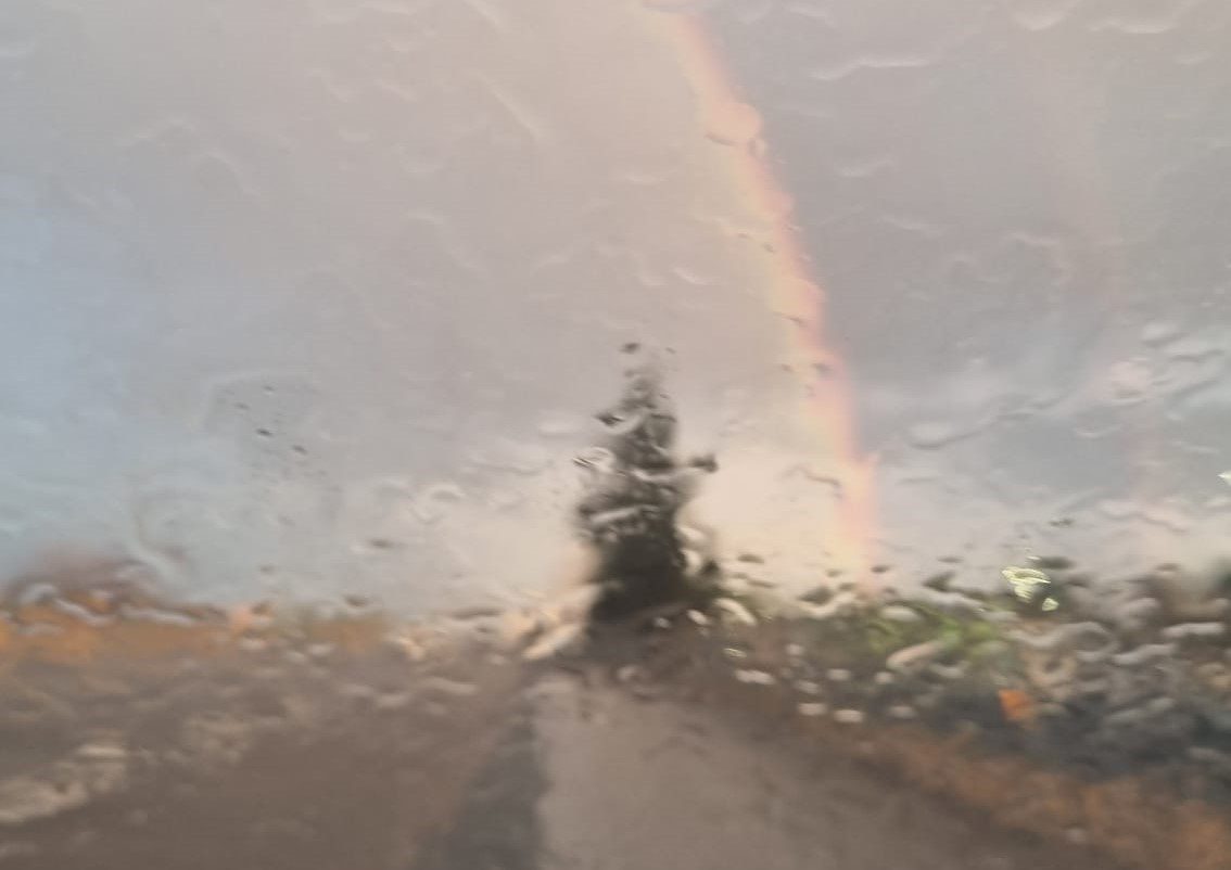 Laricchia: "Primo giorno di inverno meteorologico"