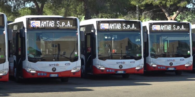 Bus