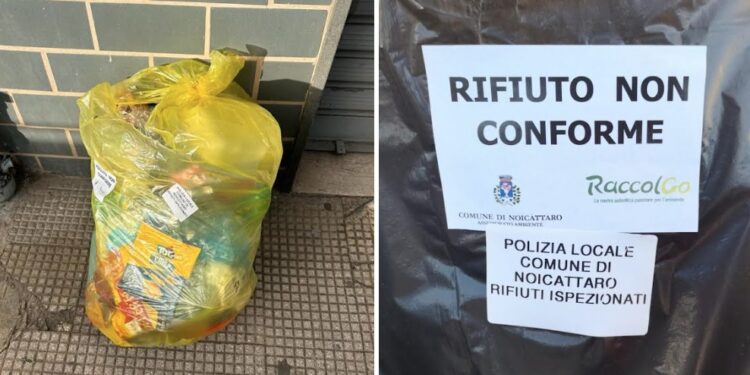 Differenziata
