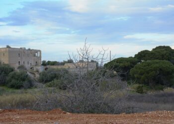 Le Frecce Tricolori tornano in Puglia, appuntamento a Trani