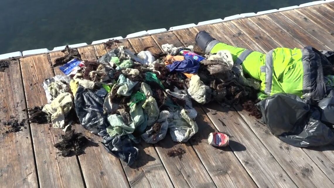 Bari, Dalle Acque Del Molo San Nicola ‘pescati’ Pneumatici E Taniche Di Olio Per Motori – Video