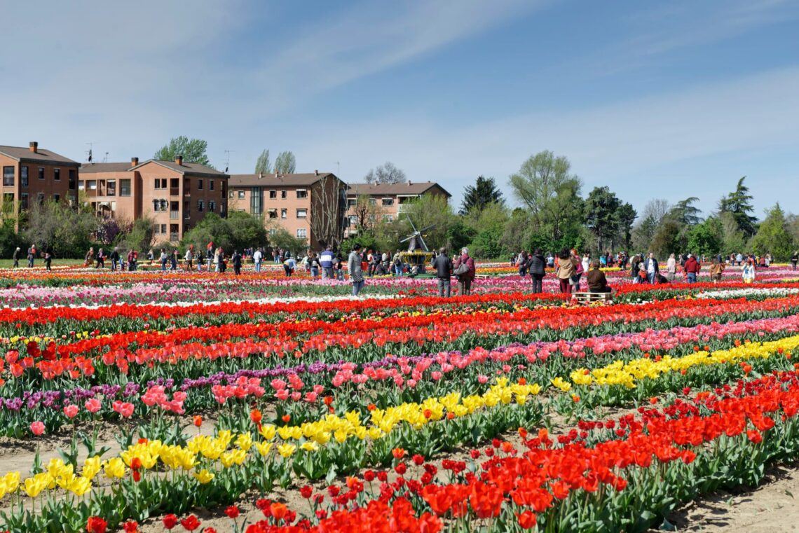 Tulipark Bologna