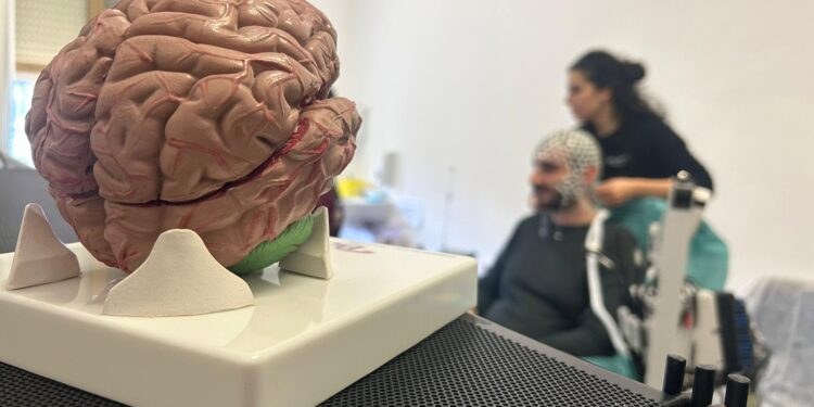 Eeg Ad Alta Densità 256 Canali