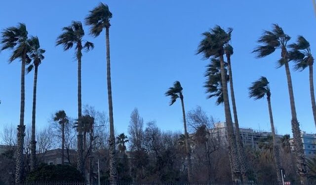 Il Meteo Di Laricchia: “san Giuseppe Con Sole E Vento Di Maestrale. Mercoledì Inizia La Primavera” – Video