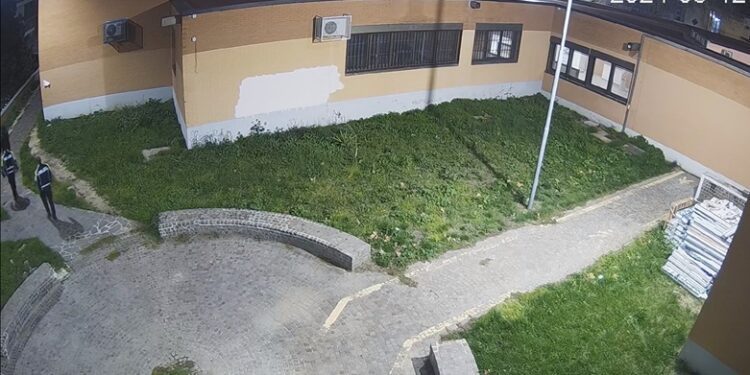 Vigili 1