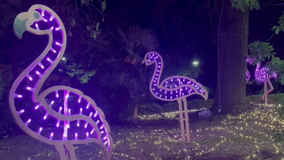 Conversano Diventa ‘borgo In Fiore’: Si Accendono Anche Le Luci Del ‘lumen Light Fest’ – Video