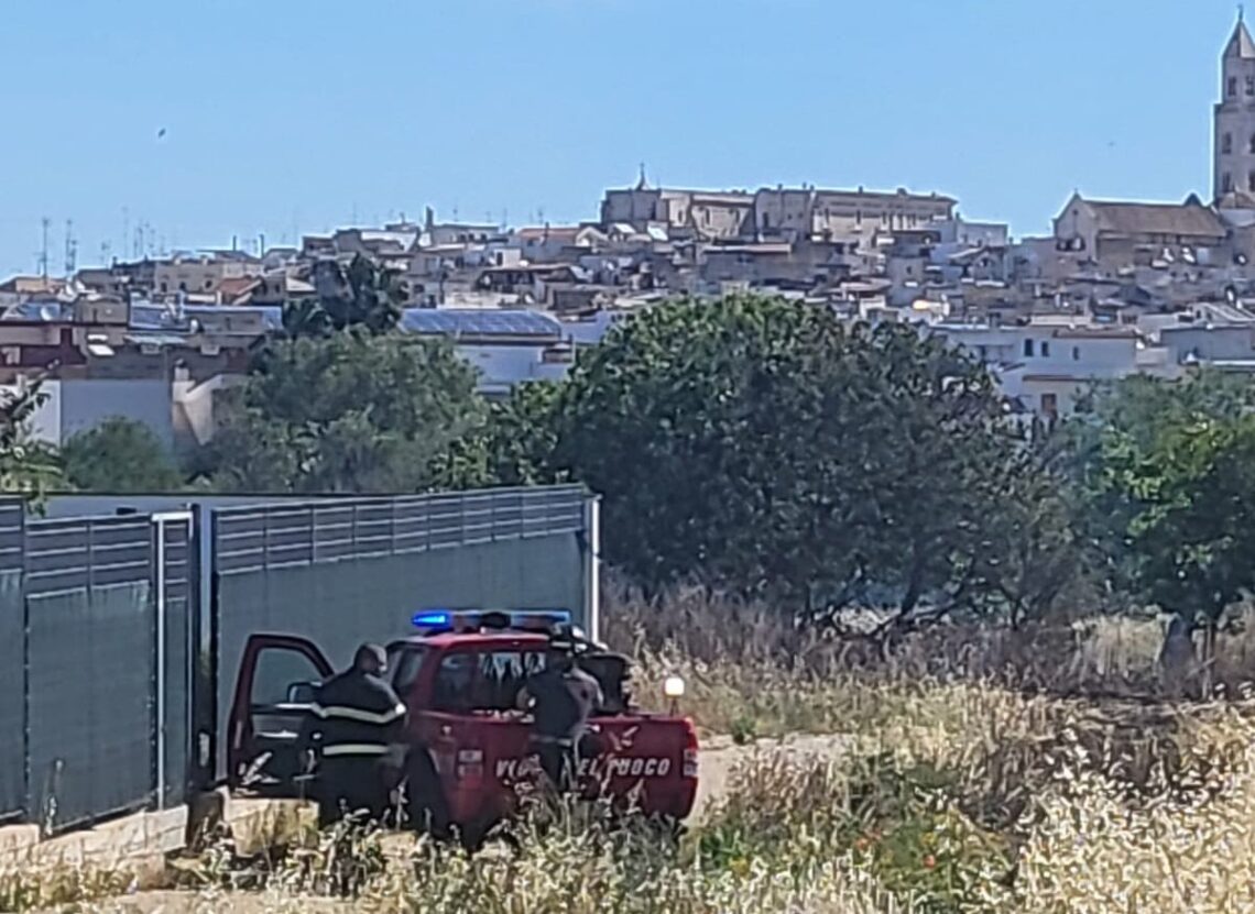 Incendio Palo