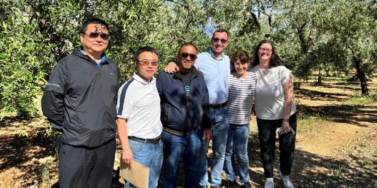 La Delegazione Cinese 01