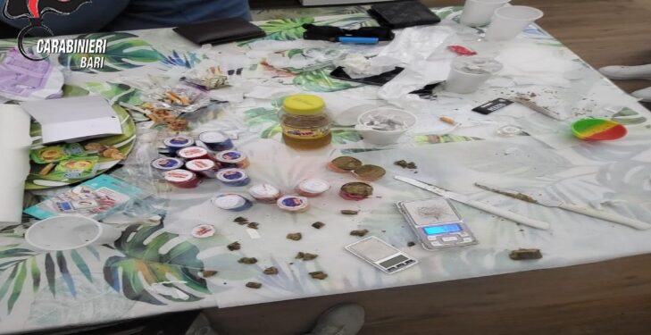 Mola Arresti
