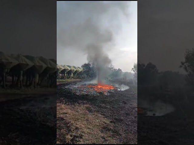 Sos incendi, “più di tre roghi al giorno nelle campagne di Adelfia”: l’allarme dei cittadini – VIDEO E FOTO