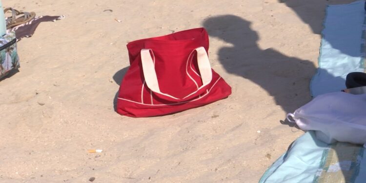 Borsa Incustodita