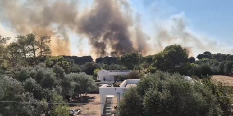 Incendio Lido Silvana