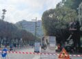 28 10 24 Rimonda Del Secco Sui Lecci Di Piazza Umberto Al Lavoro Squadre Della Multiservizi 2