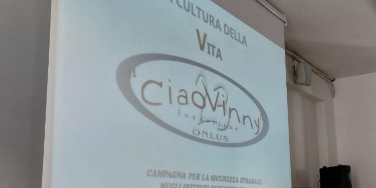 Ciao Vinny