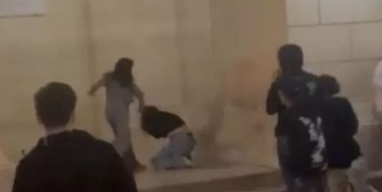 Cattura