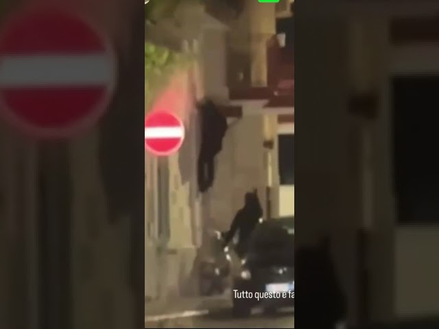 Giovinazzo, Due ‘topi D’appartamento’ In Fuga Dalla Grondaia: Il Filmato Diventa Virale – Video