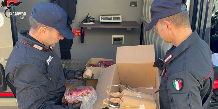 Altamura Maxi Sequestro Di Fuochi D’artificio. Due Arresti