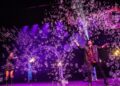 Marco Zoppi E Rolanda In Bubbles Revolution 04 Low