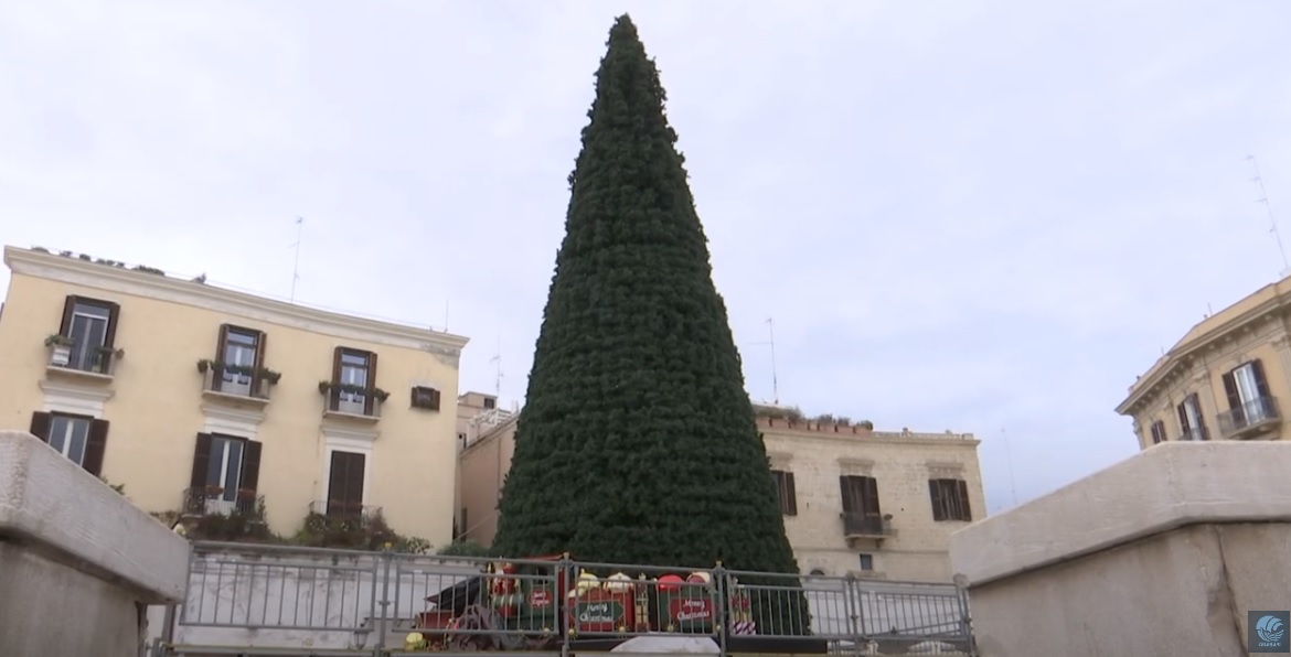 Albero Natale 2024
