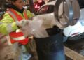 Operatore Ecologico Di Quartiere4
