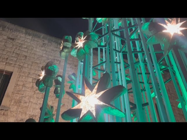 Putignano, Ecco Il Grande Albero Di Natale In Cartapesta: è Illuminato Da 64 Lanterne ‘stellari’ – Video