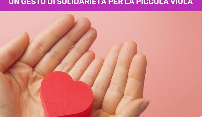 Fb Img 1739278768620