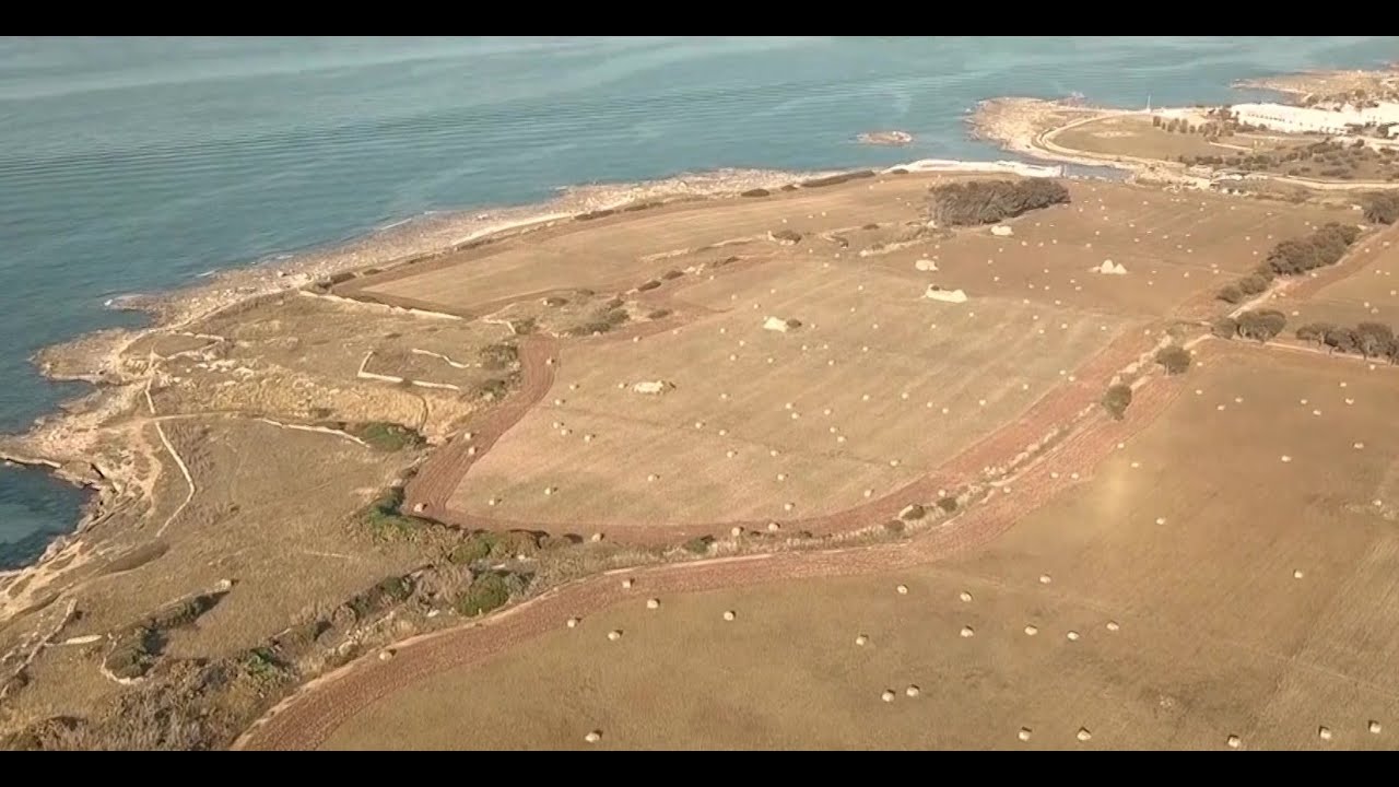 Costa Dei Trulli Protagonista Alla Bit Tra Turismo Ed Eccellenze Locali: “obiettivo è Mettere In Rete I Comuni” – Video